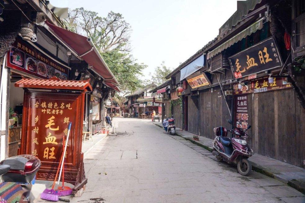 【文旅】上海“小汤包”来遵义探寻自然之美
